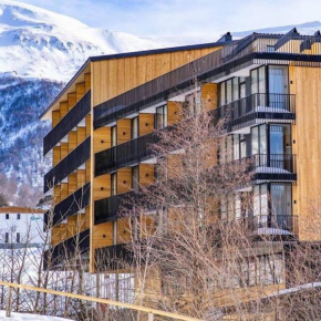 Cozy Apartment in Didveli Gallery, Bakuriani